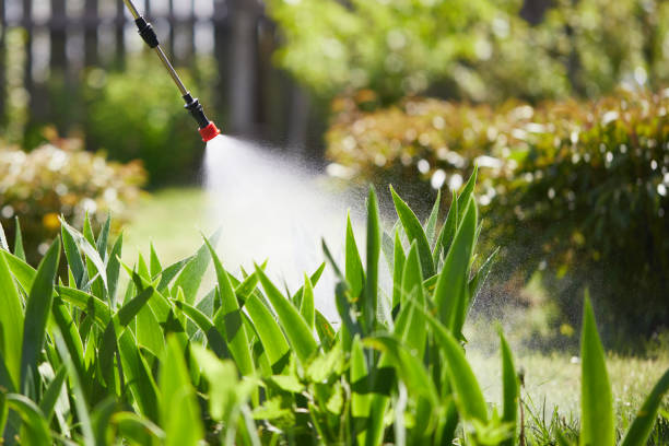 Tamper-Resistant Bait Stations for Rodents in Copperton