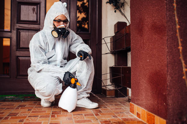 Attic and Crawl Space Rodent Treatment in Copperton
