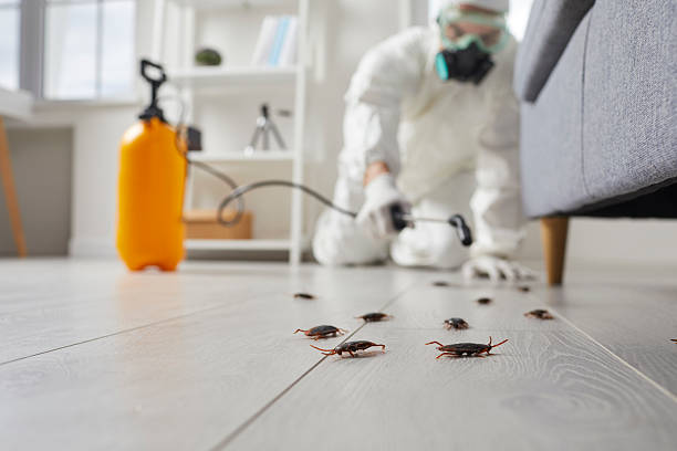 Commercial Rodent Management in Copperton